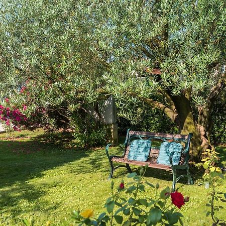 B&B Carmela Umago Esterno foto
