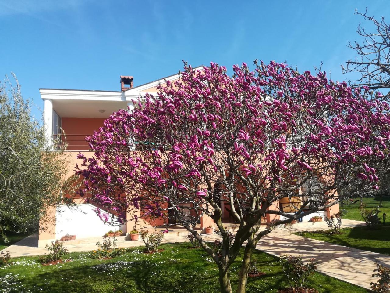 B&B Carmela Umago Esterno foto